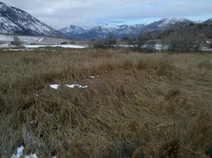 DryLake_wetlands